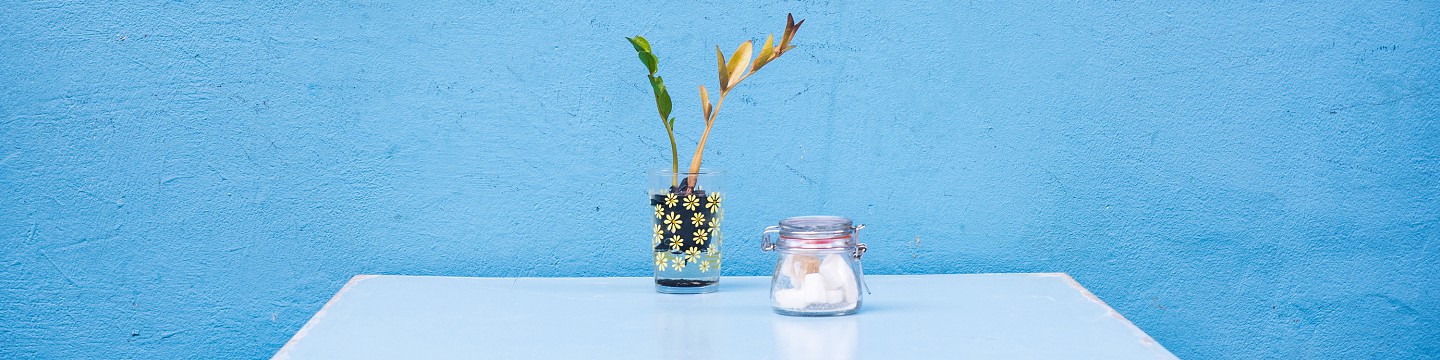 Mesa con florero. Fondo azul